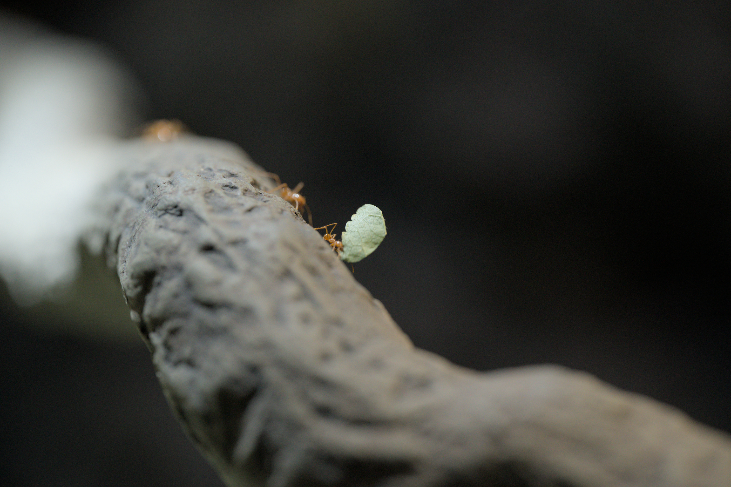 2025/10/12 - zoo/DSC_0233.jpg